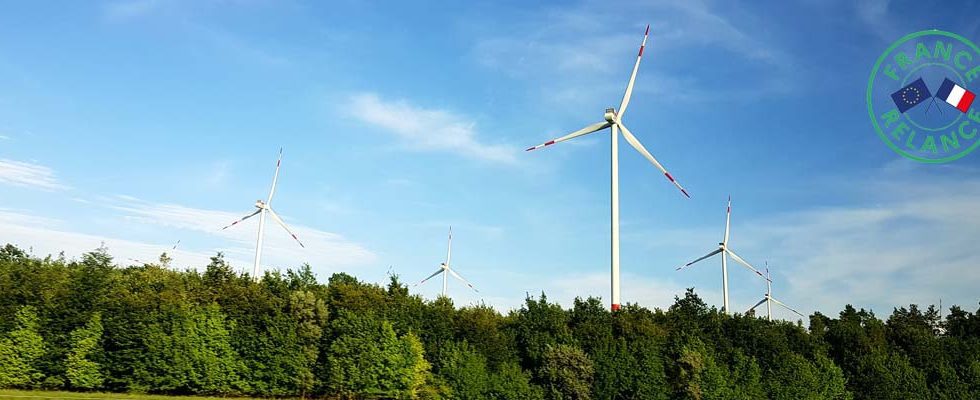 Eoliennes dans la campagne