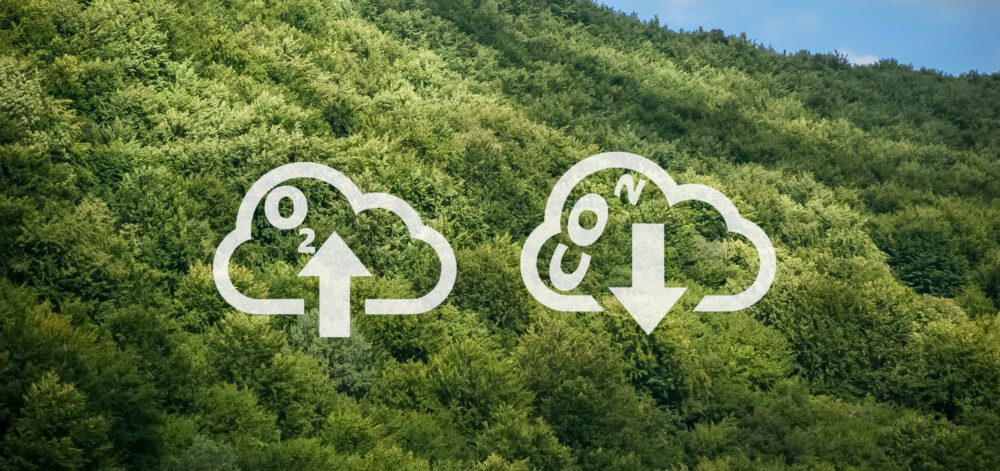 wymiana dwutlenku węgla na tlen. Zdjęcie symboli CO2 i O2 w chmurze z oznaczeniem kierunku wymiany na tle gór porośniętych lasem.