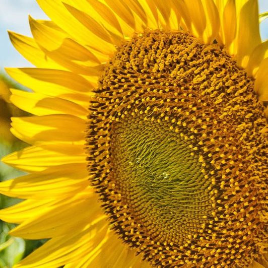 Even développe la prévention et l’engagement de ses collaborateurs