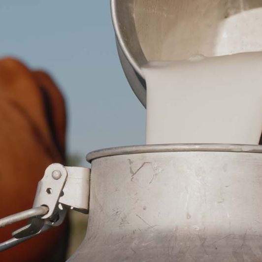 BEL confie à Ayming son projet de changement de SI PAIE