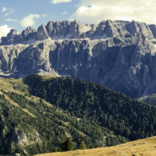 Crédit d'Impôt Recherche en 2024