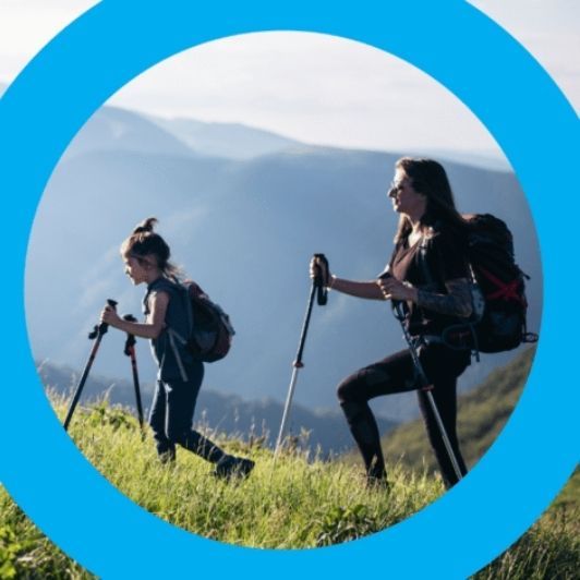 qu'est-ce que le cir