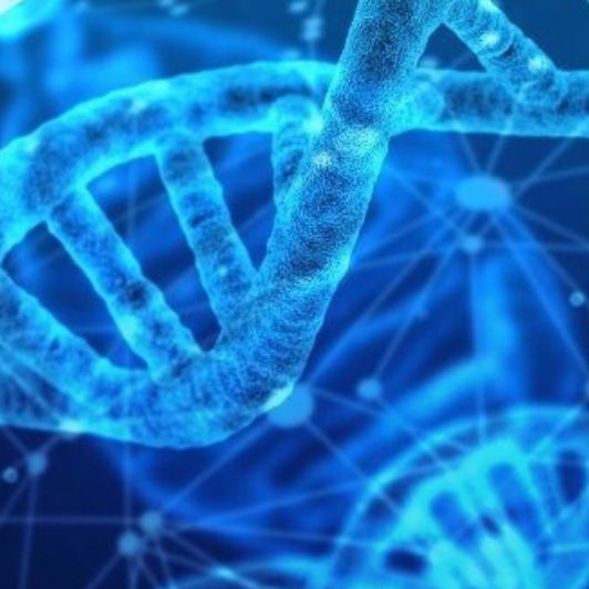 actifs vivants dans le CIR