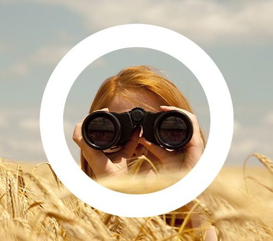 CIR reussir sa declaration 1000x470px