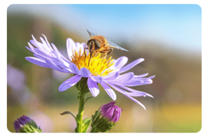 Innovation durable le prix innovate 4 tomorrow soutient les startup et les pme 4 Innovation durable le prix innovate 4 tomorrow soutient les startup et les pme 3