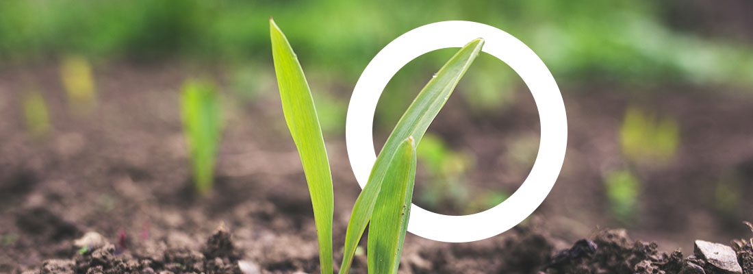 Agroalimentaire : comment bien constituer son dossier feader 3 Agroalimentaire : comment bien constituer son dossier feader 2