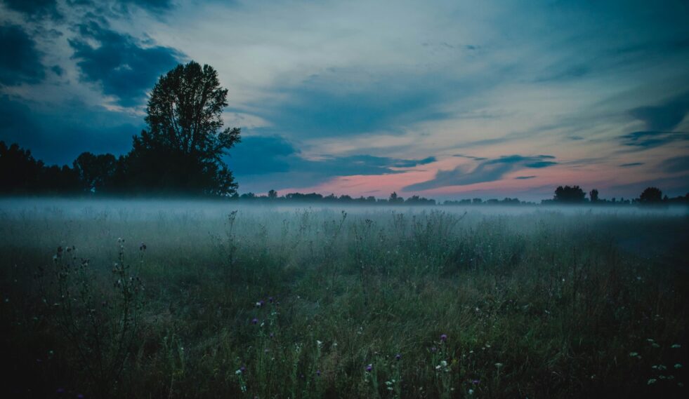 Generic nazar sharafutdinov VqyK8FdQ04U unsplash