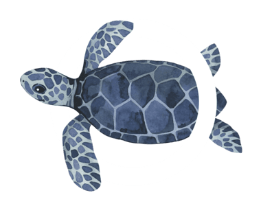 turtle ayming rse Seraphino mascot