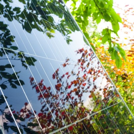 revue de presse décarbonation le figaro