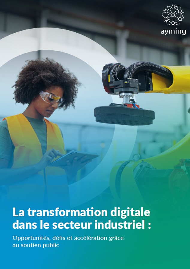 Guide transformation digitale