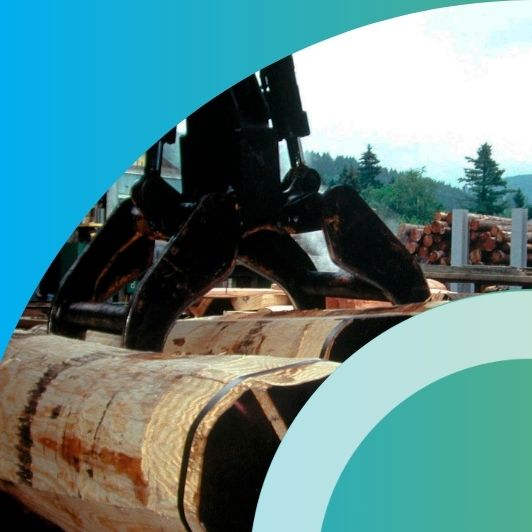 Biomasse chaleur pour l'industrie du bois